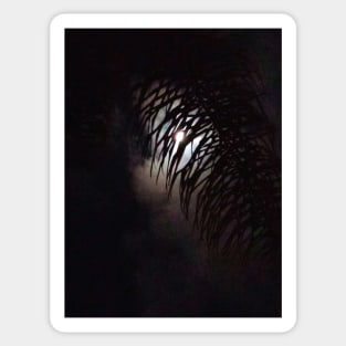 Moon Frond Sticker